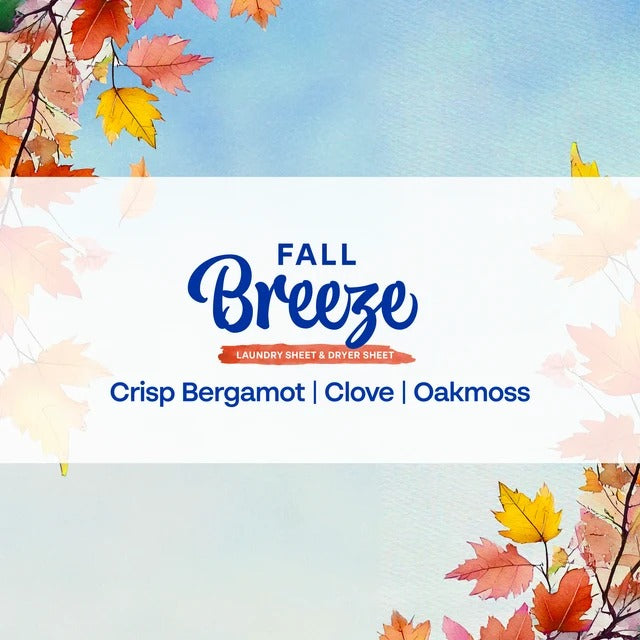 Fall Collection Bundle